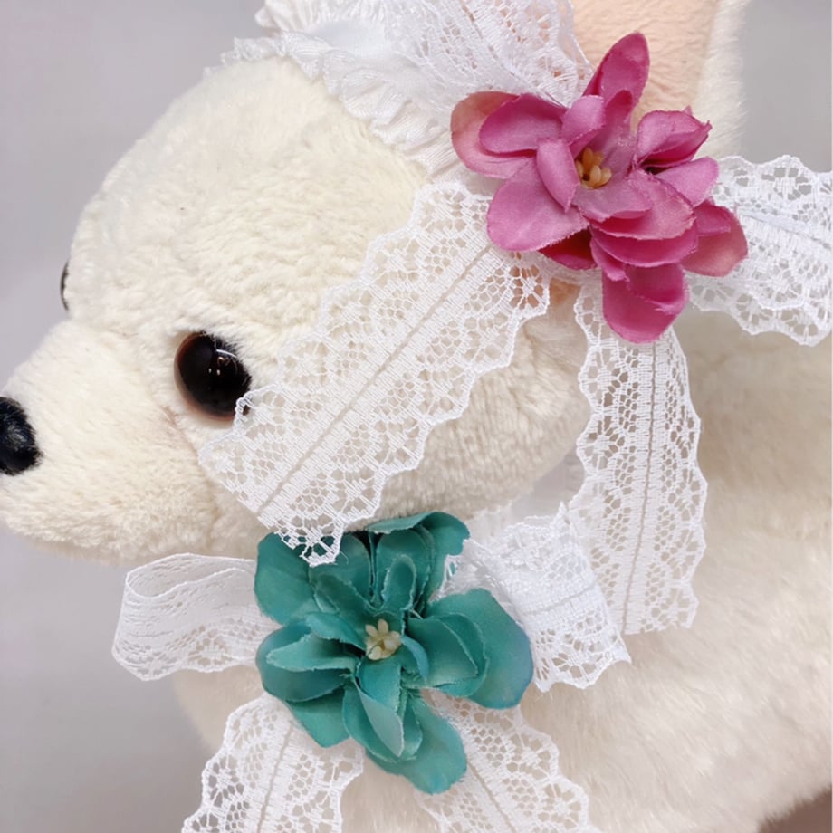 5ec3464b72b9116615db19b3