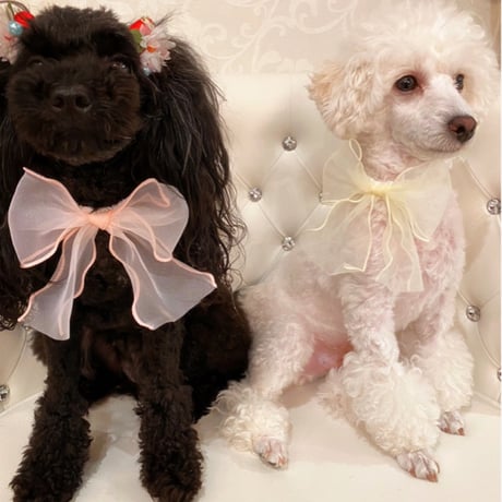 オーガンジーリボン🎀ストレッチチョーカー／25cm×10本