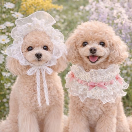 エンジェルレース🎀ヘッドドレス＆チョーカー兼用タイプ✨  ブルーorピンク
