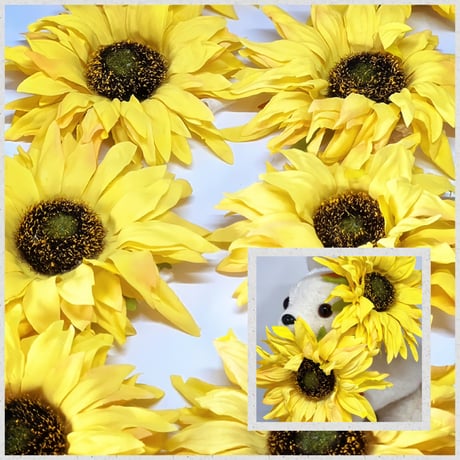Big向日葵🌻ストレッチチョーカー／10本