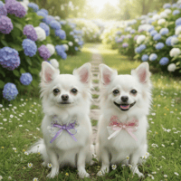 紫陽花リボン🎀ストレッチチョーカー／10本
