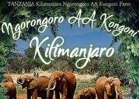【タンザニア】キリマンジャロ　 ンゴロンゴロ AA コンゴニ農園　100g