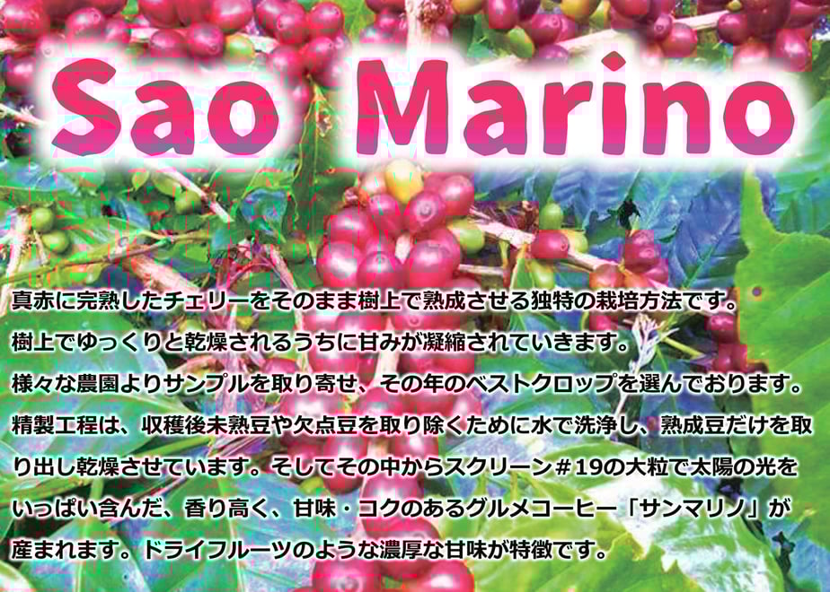 6350c870c15c5a5be4af7031