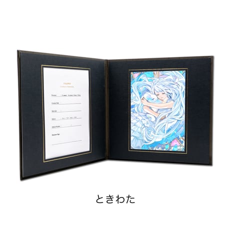 CATEGORY ときわた | XART STORE