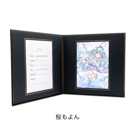 CATEGORY INTENSE Series | XART STORE