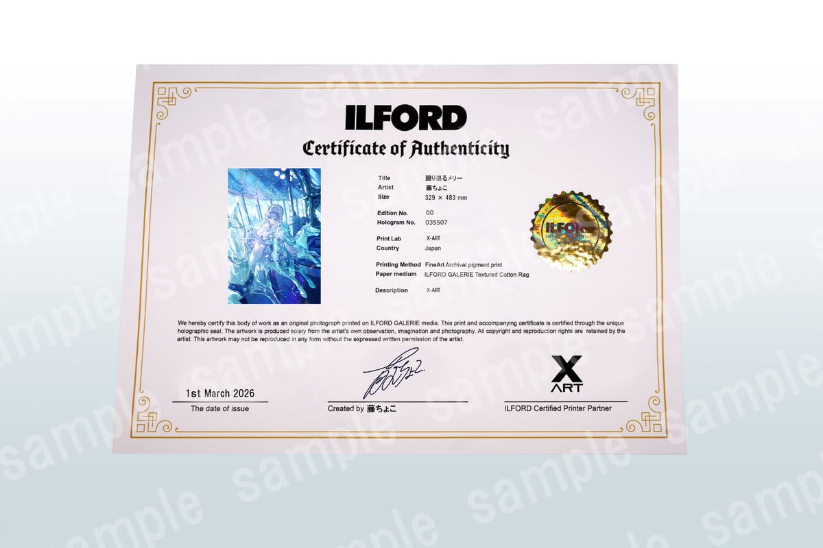 【松原光】イラスト原画　特注フレーム付き ★値段交渉歓迎 Giclee Pearlescent XR A4【光る美少女展2025】 | XART STORE