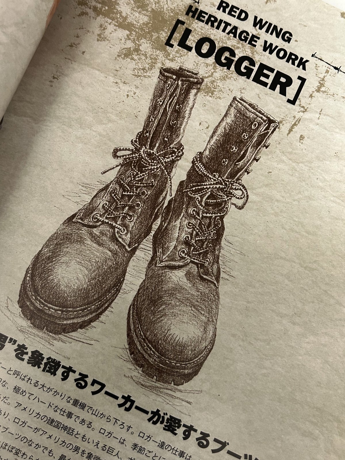 中古】 カフェ・スタイル 1/ワールドフォトプレス