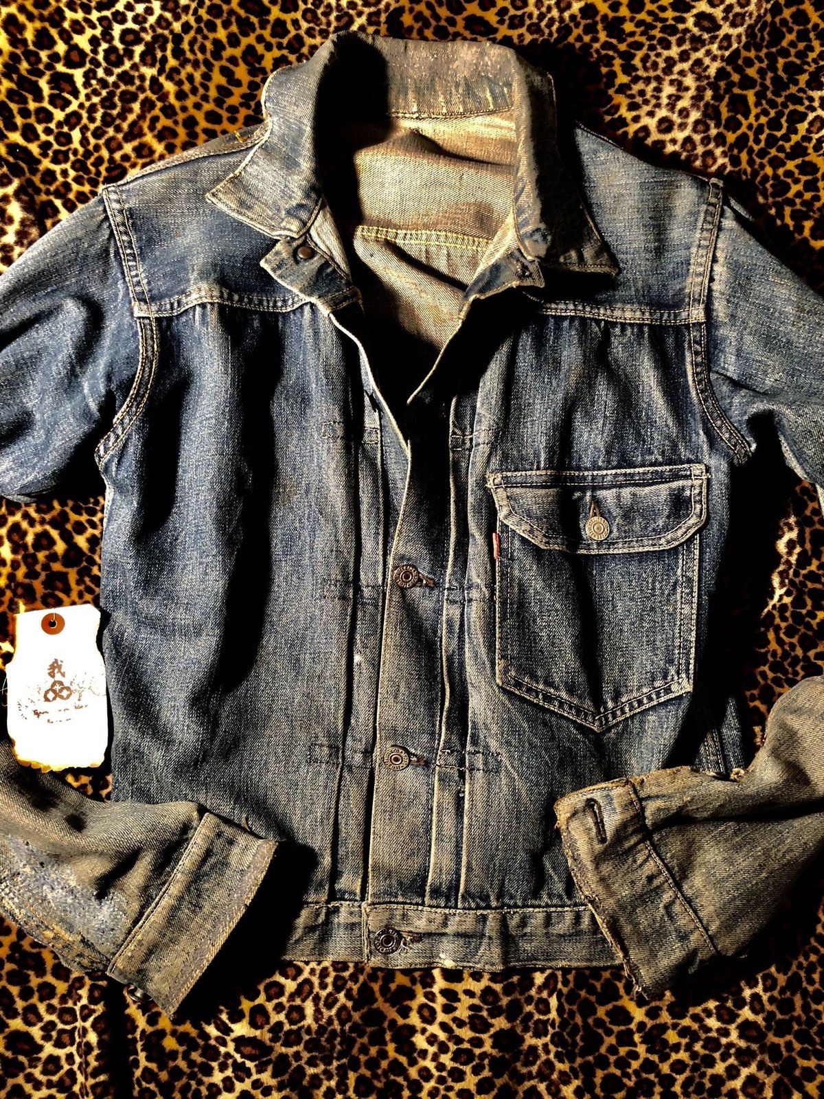 fit=scale-down,w=1200