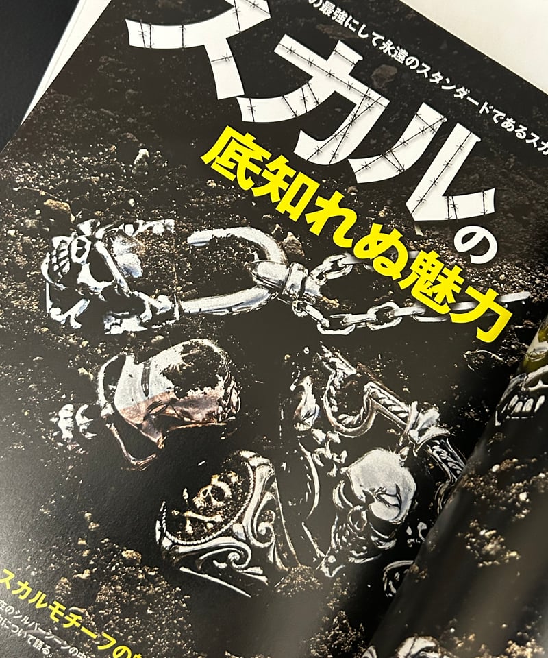 ♦️ROCK COUNTERCULTURE♦️2009,s株式会社コスミック出版『シルバー