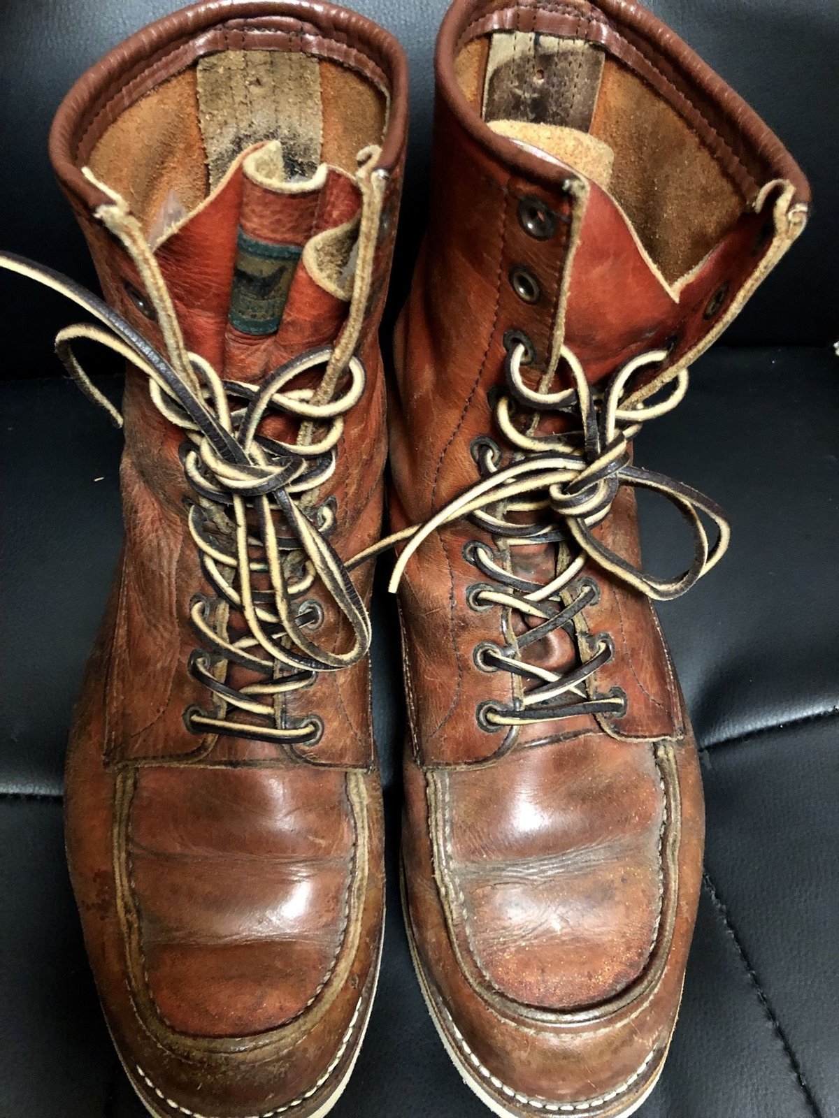 激レアレッドウイング旧犬ダグ60s70s ヴィンテージ アイリッシュセッター