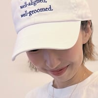 well シリーズ