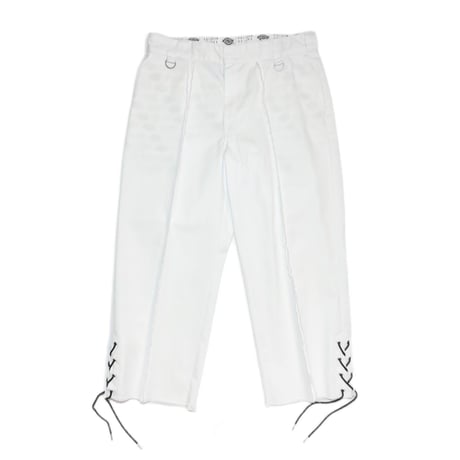 x Dickies CLASSIC T/C 874 TROUSERS