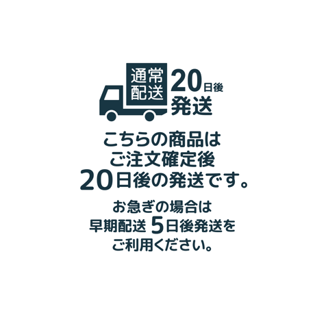 【 BLICIA ST5 】通常配送 20日後発送