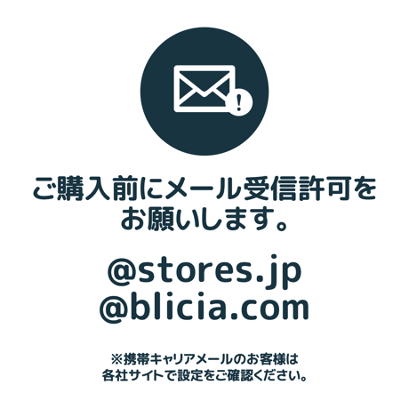 【 BLICIA ST6 】通常配送 20日後発送