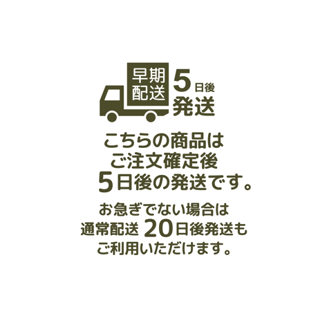 【 BLICIA ST7 】早期配送 5日後発送