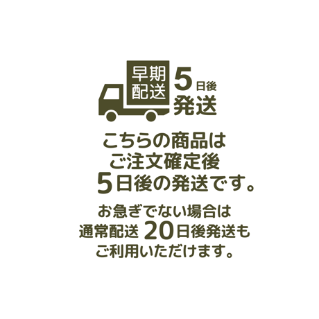 【 BLICIA ST8 】早期配送 5日後発送