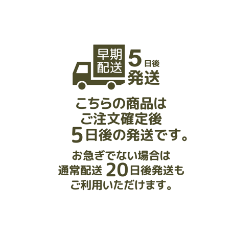 【 BLICIA ST5 】早期配送 5日後発送