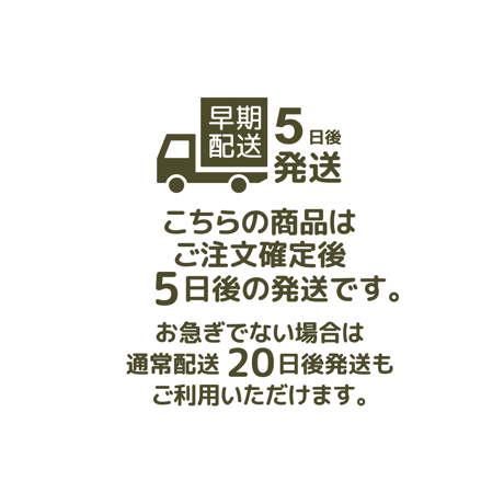 【 BLICIA ST6 】早期配送 5日後発送