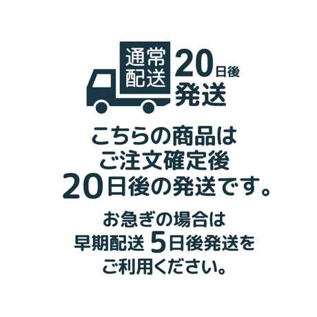【 BLICIA ST6 】通常配送 20日後発送