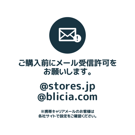 【 BLICIA ST6 】早期配送 5日後発送