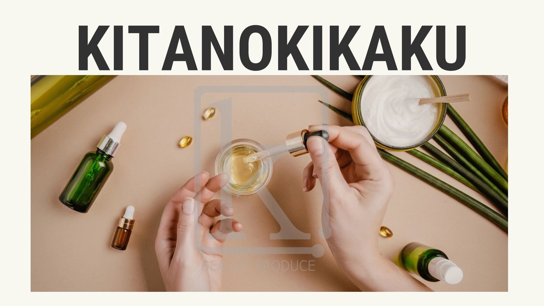 kitanokikaku