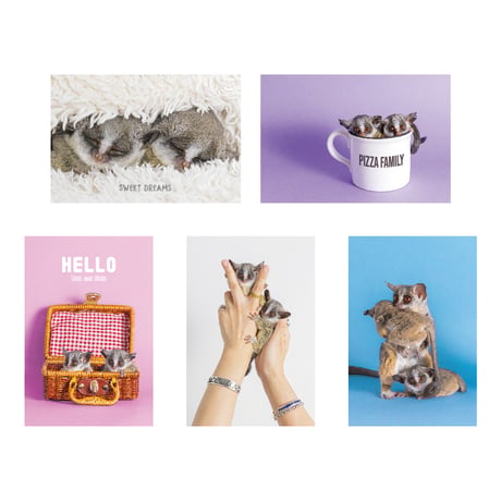 Pizza Family Boo & Zem Post Card 10 Set / ポストカード10枚セット