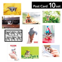 Pizzatoru Post Card 10 Set / ピザトルのポストカード10枚セット [復刻版]