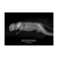 PIZZATORU Post Card /ポストカード [レントゲン]