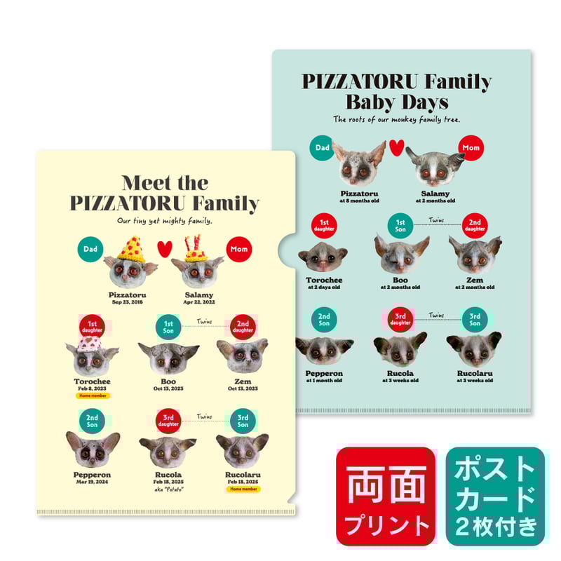ピザトル家系図 A4クリアファイル ＆ ポストカード2枚セット