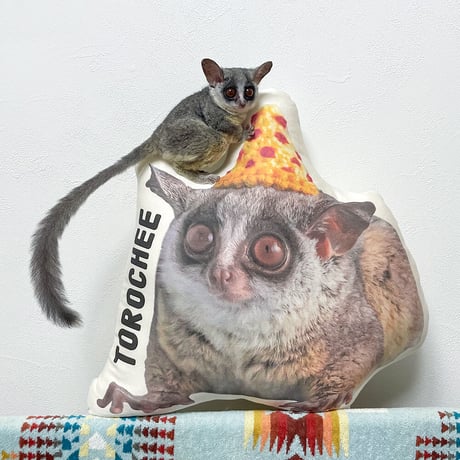 トロチーのクッション