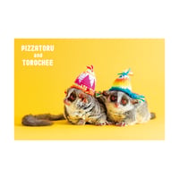 PIZZATORU Post Card /ポストカード [ピザトルとトロチー]