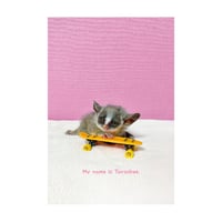 PIZZATORU Post Card /ポストカード [スケート]