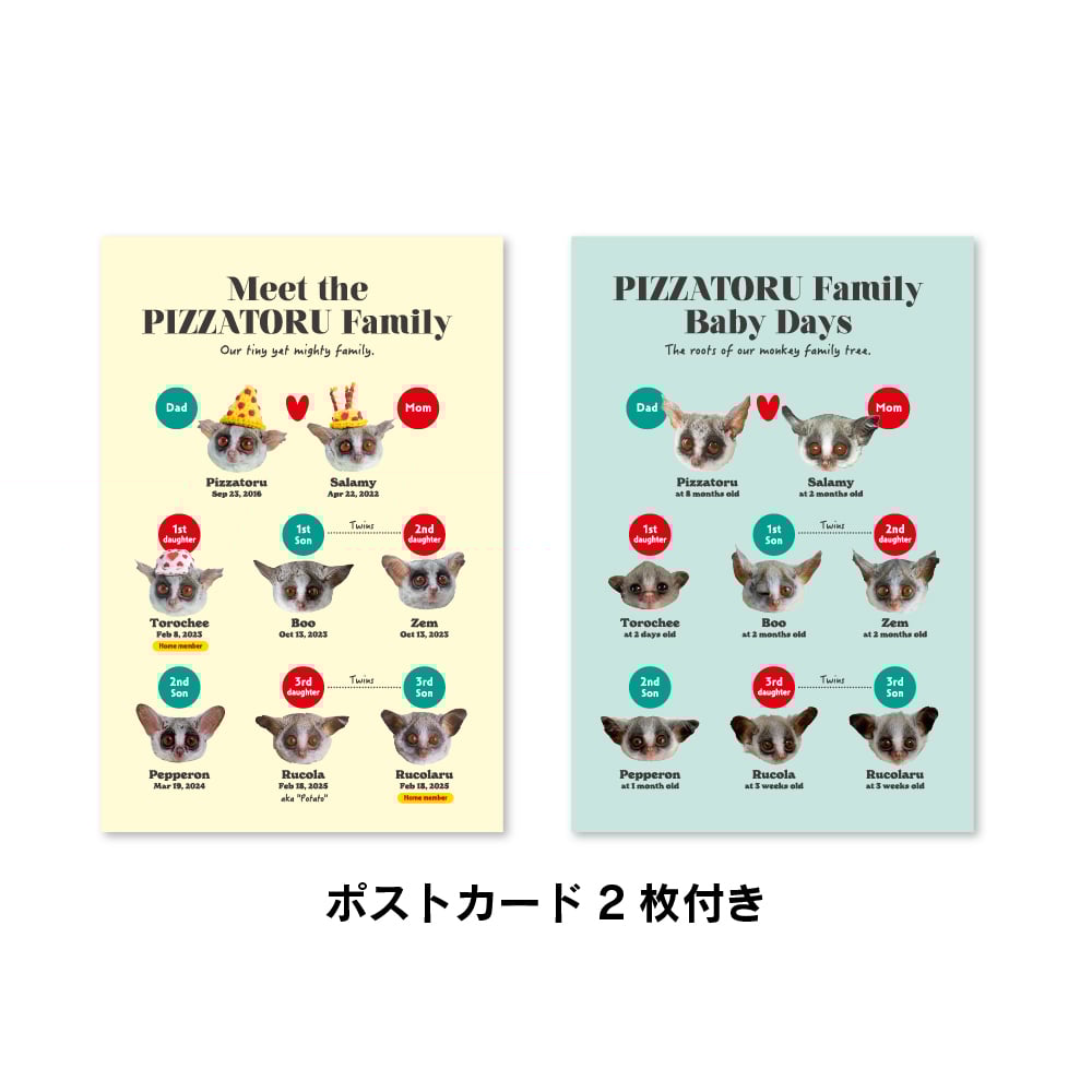 ピザトル家系図 A4クリアファイル ＆ ポストカード2枚セット