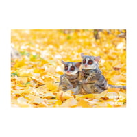 PIZZATORU Post Card /ポストカード [秋のピザトルとトロチー]