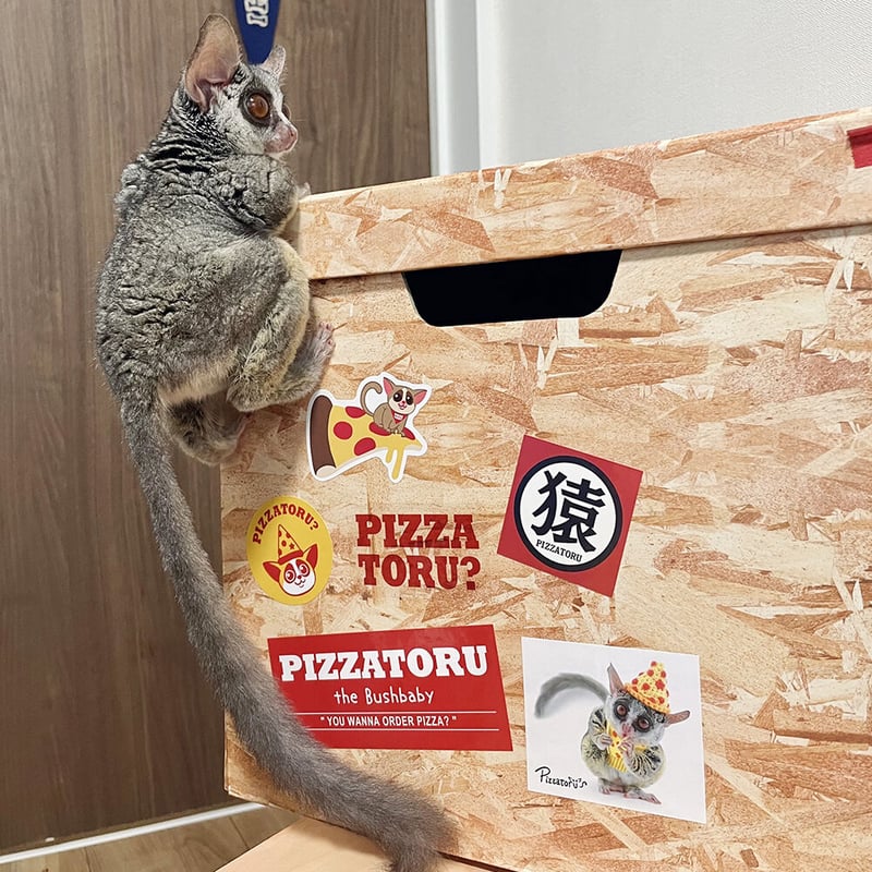 Pizzatoru Sticker Set / ステッカーセット 第2弾 | ショウガラゴ