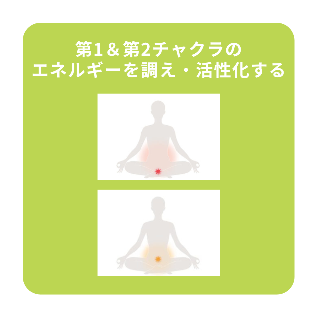 第2チャクラの調整と活性化オルゴナイト☆平型（第2チャクラ活性化のオイル封入 第2チャクラの調整と活性化オルゴナイト☆平型（第2チャクラ活性化の