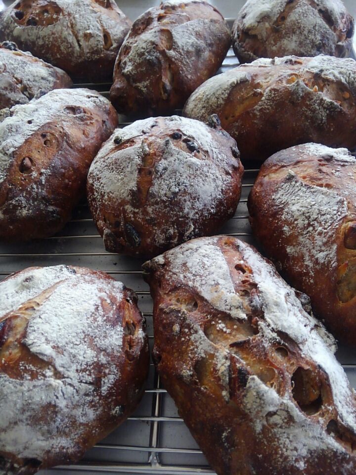 カンパーニュ 浅間山カンパーニュ(小) | HOTOTOGISU