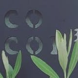 cocon³ net store