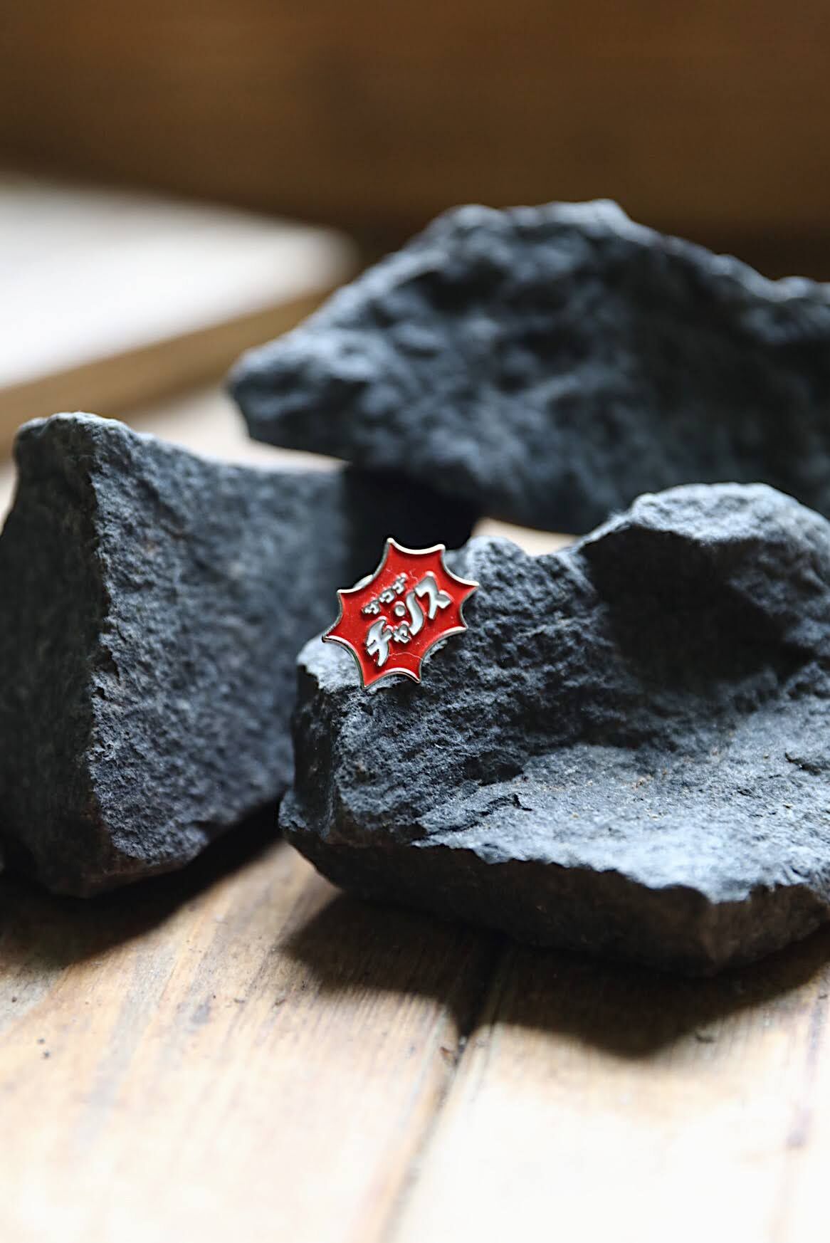 【人気商品】サウナイキタイピンズセット サウナチャンスピンズ | サウナイキタイSTORE