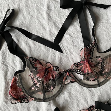 coral butterfly【A-0705】