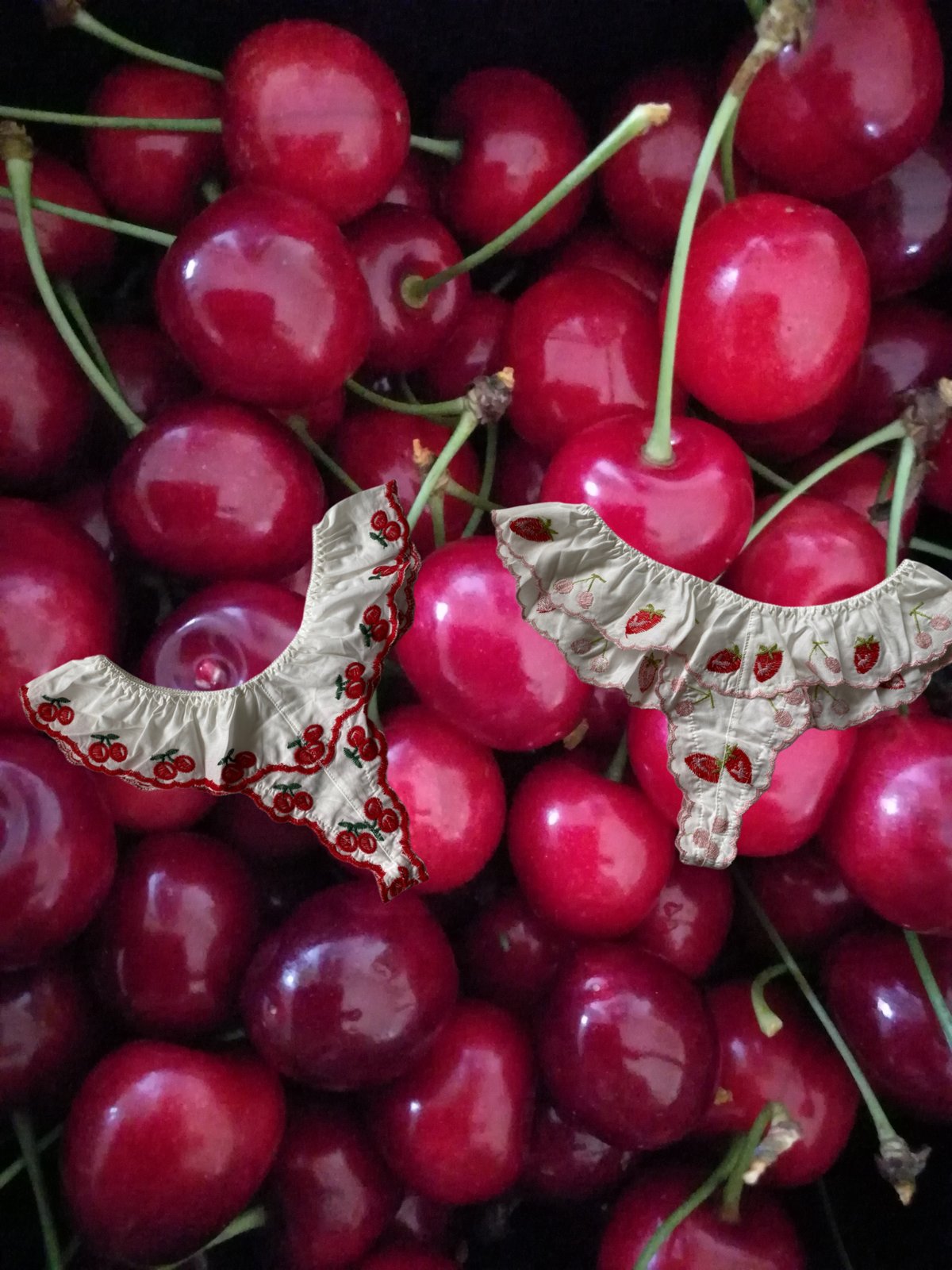 cherry Tshorts【T-0695】 | Numéro 5