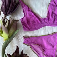 mie purple×green【A-0695-PUR】
