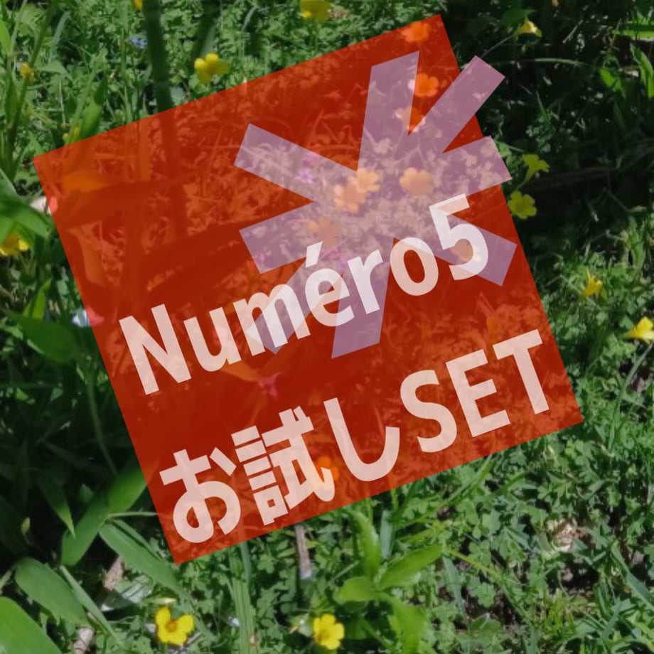 6a2645d7bd1748148bd12c19