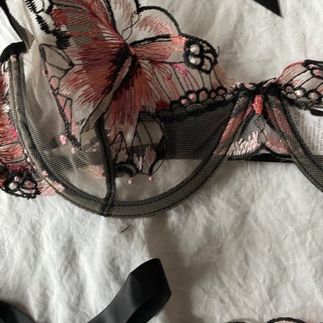 coral butterfly【A-0705】
