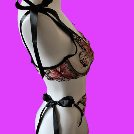 coral butterfly【A-0705】