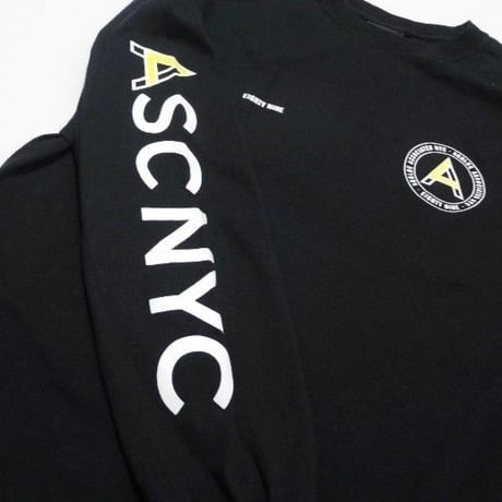 AGOLDE X ASSOCIATED NYC LONG SLEEVE T-SHIRT MADE IN USA M