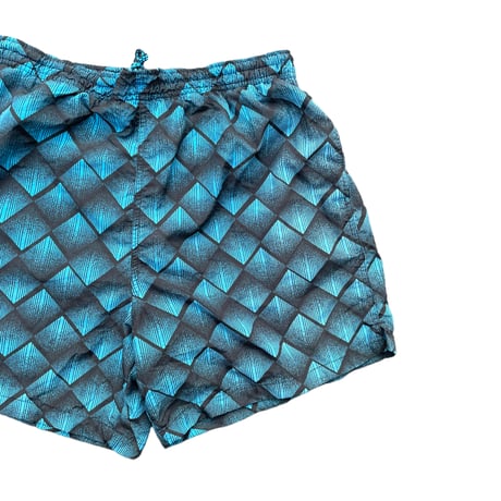 BASIC Shorts Size-L 水陸両用