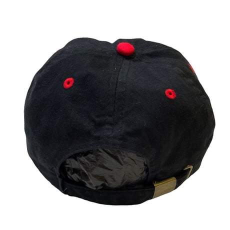 NEW MEXICO CAP