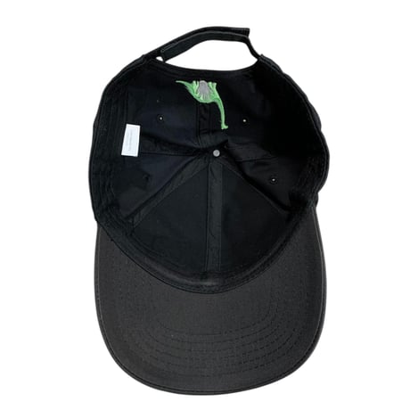Disney Movie THE GOOD DINOSAUR CAP