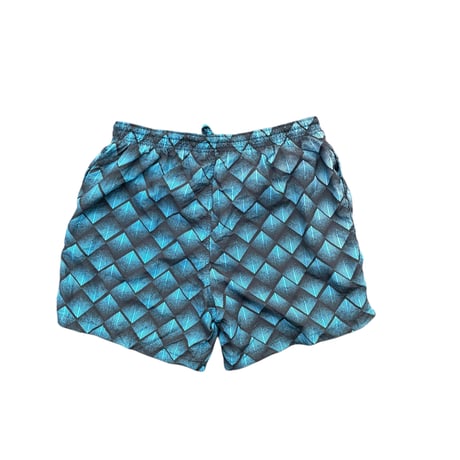 BASIC Shorts Size-L 水陸両用